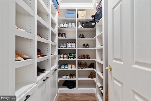 519 Cardinal Ln, Warrenton, VA 20186 - view of storage area