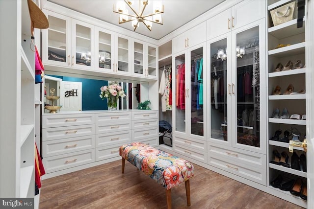519 Cardinal Ln, Warrenton, VA 20186 - walk in closet with a chandelier and wood finished floors