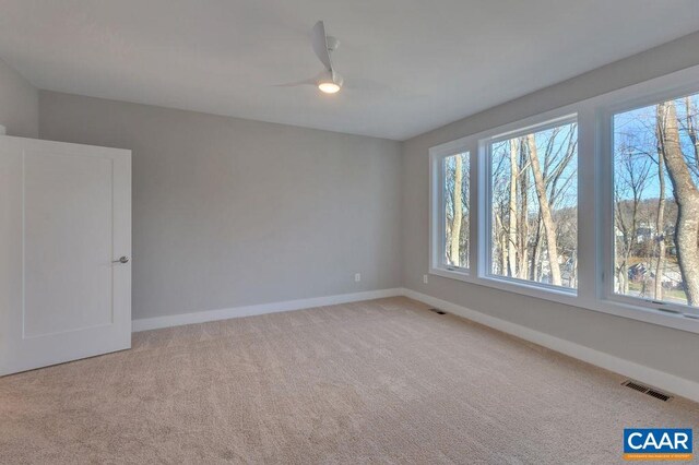 E-19 Cherrywood Ct, Gordonsville, VA 22942 - photo 10