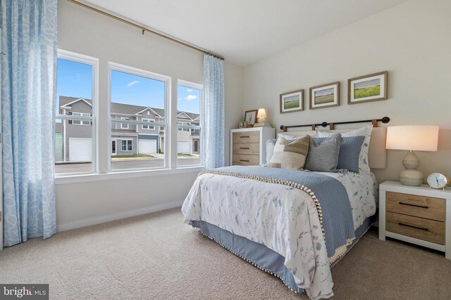 465 Baker Dr, Luray, VA 22835 - bedroom with carpet floors and baseboards