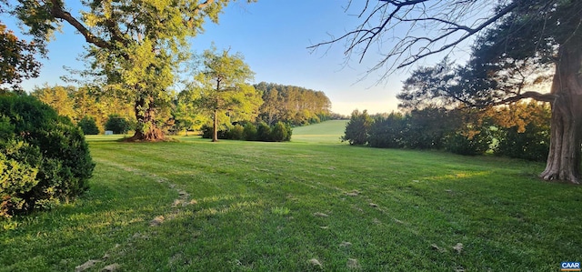 190 Perkins Rd, Kents Store, VA 23084 - view of yard