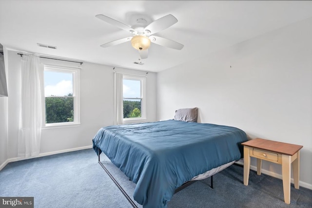 13001 Country View Ln, Amissville, VA 20106 - carpeted bedroom featuring multiple windows and a ceiling fan
