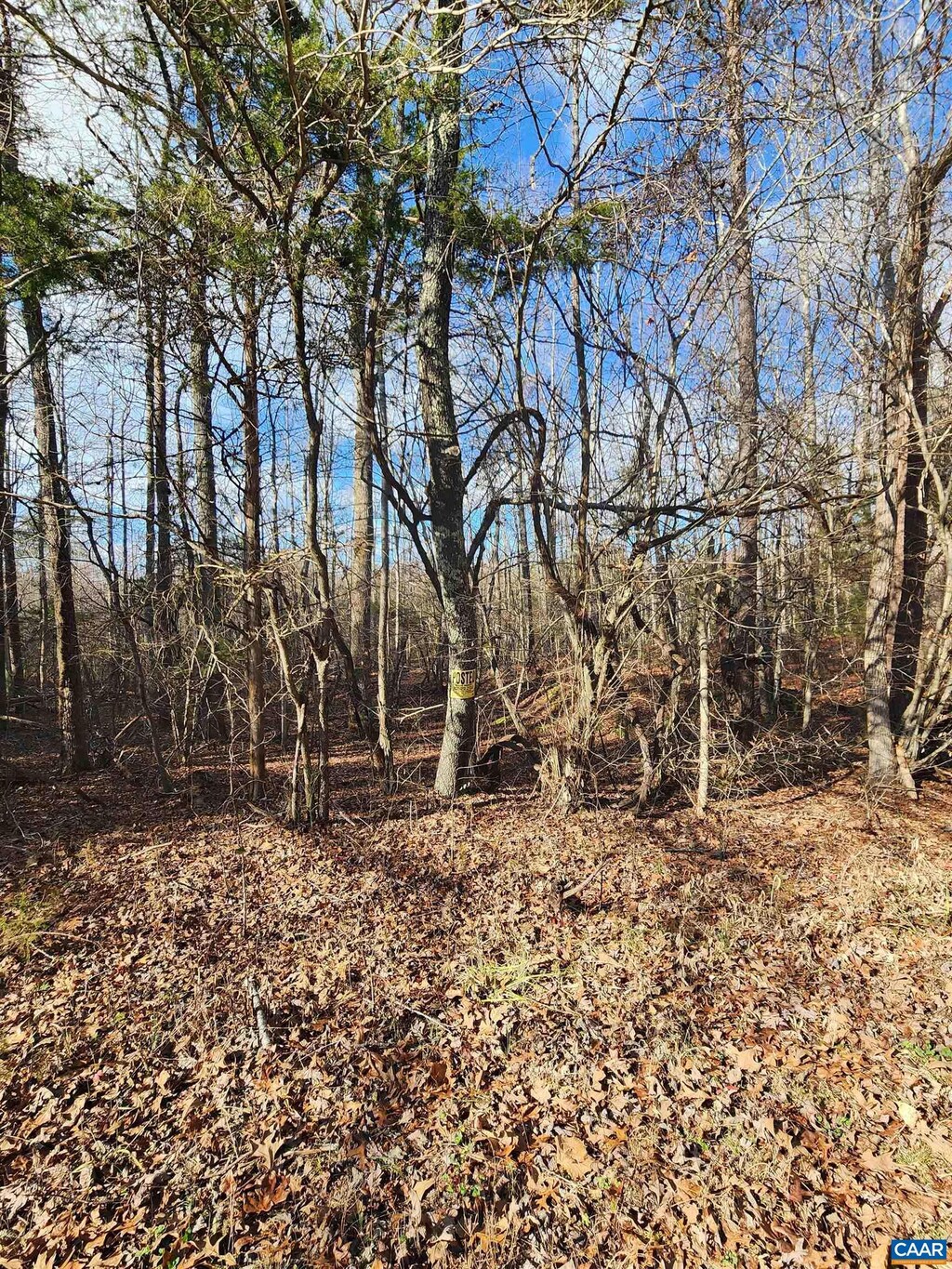 TBD Union Hill Rd, Buckingham, VA 23921