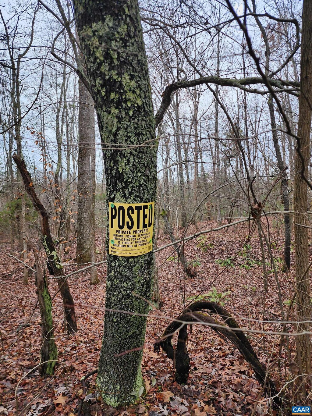 TBD Union Hill Rd, Buckingham, VA 23921