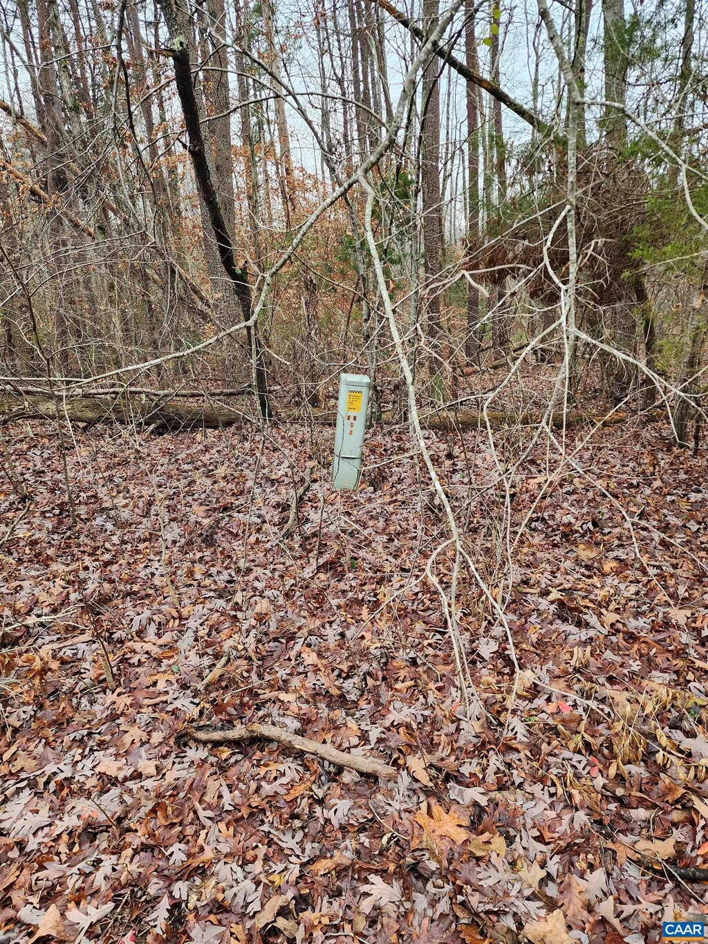TBD Union Hill Rd, Buckingham, VA 23921