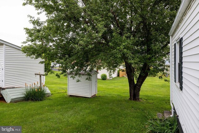 220 Mechanic St, Luray, VA 22835 - view of grassy yard