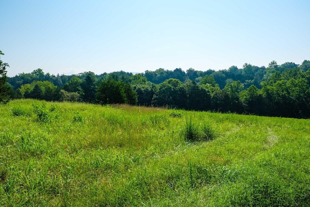 LOT13 Lazy River E Rd, Luray, VA 22835 - photo 6