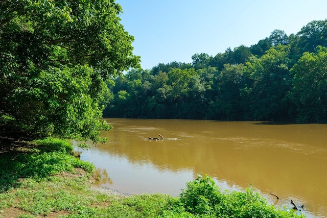 LOT13 Lazy River E Rd, Luray, VA 22835 - photo 2