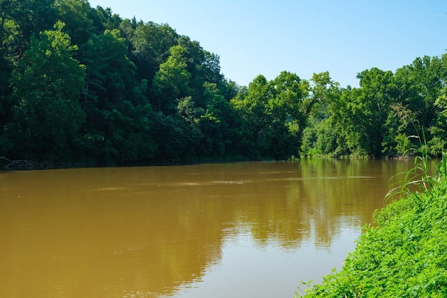 LOT13 Lazy River E Rd, Luray, VA 22835 - photo 3