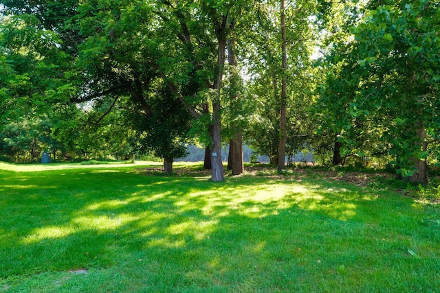 LOT13 Lazy River E Rd, Luray, VA 22835 - photo 5
