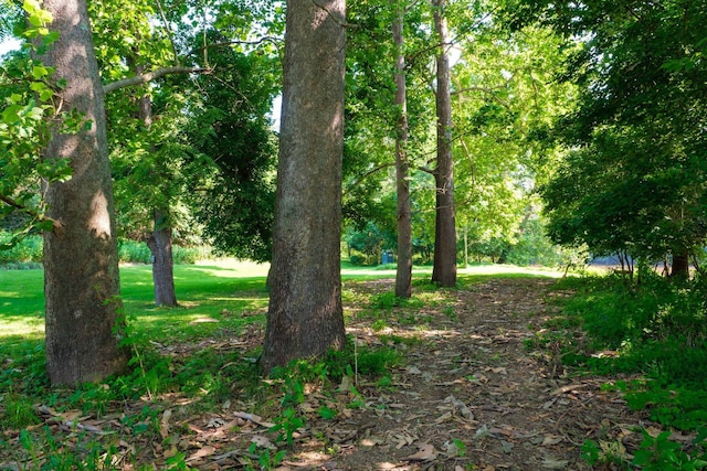LOT13 Lazy River E Rd, Luray, VA 22835 - photo 4
