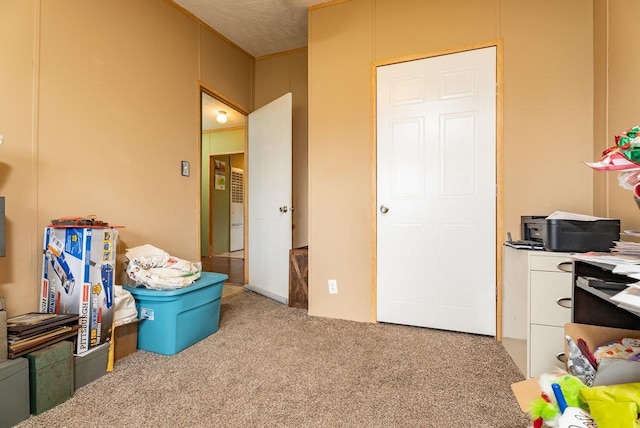 3930 Williams Ln, Elkton, VA 22827 - bedroom with carpet flooring and a textured ceiling