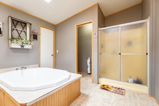 3930 Williams Ln, Elkton, VA 22827 - bathroom featuring lofted ceiling, crown molding, and a shower stall