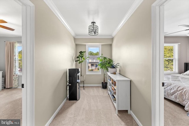 11814 Arbor Glen Dr, Fredericksburg, VA 22407 - corridor featuring light carpet, crown molding, plenty of natural light, and baseboards