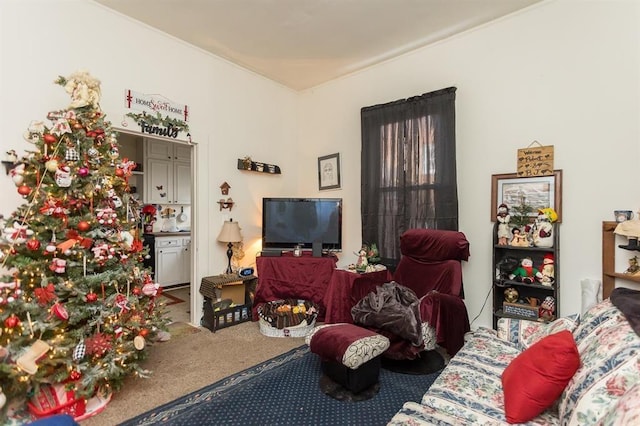 living room with carpet floors