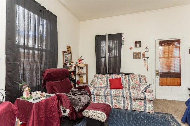 living area featuring carpet