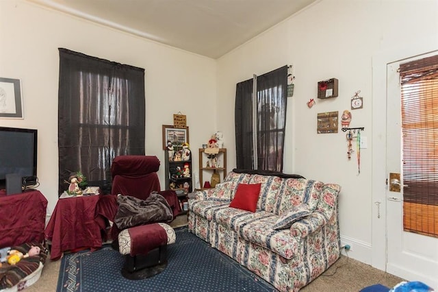 view of carpeted living area