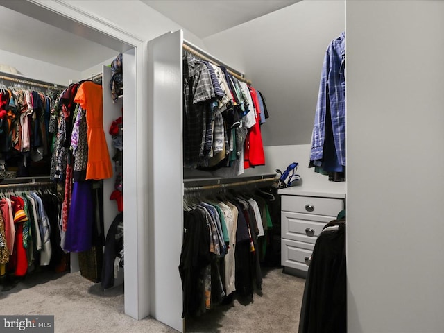 walk in closet featuring carpet