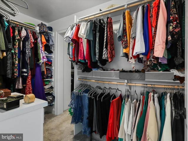 walk in closet featuring carpet floors