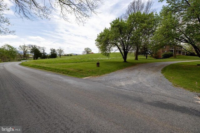 1699 Mill Creek Crossroads, Luray, VA 22835 - photo 67