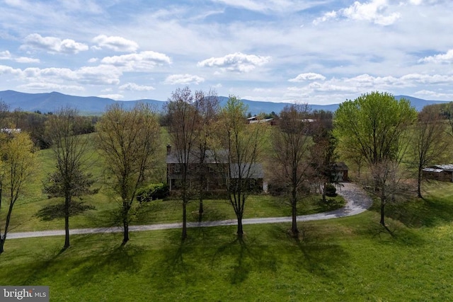 1699 Mill Creek Crossroads, Luray, VA 22835 - photo 52