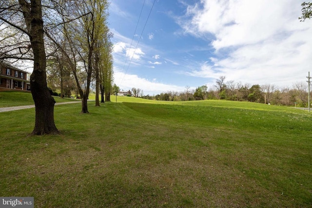 1699 Mill Creek Crossroads, Luray, VA 22835 - photo 63