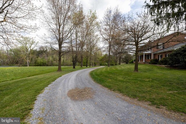 1699 Mill Creek Crossroads, Luray, VA 22835 - photo 61