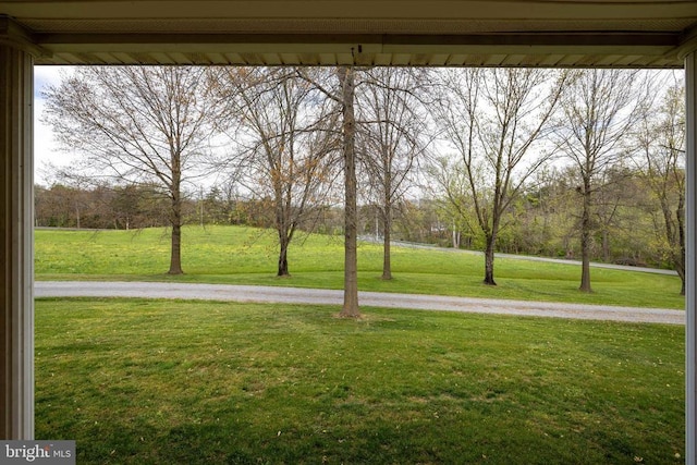 1699 Mill Creek Crossroads, Luray, VA 22835 - photo 60