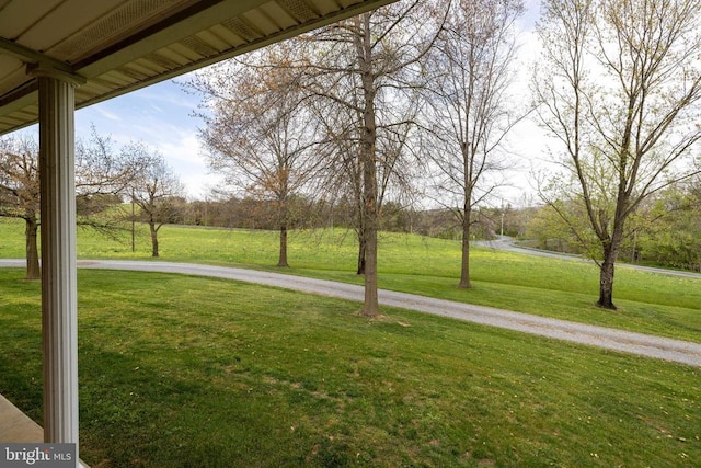 1699 Mill Creek Crossroads, Luray, VA 22835 - photo 59