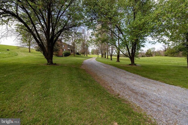 1699 Mill Creek Crossroads, Luray, VA 22835 - photo 65