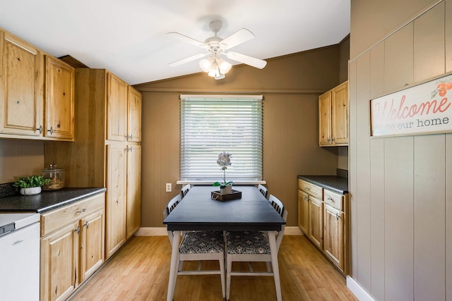 141 Elizabeth Ave, Waynesboro, VA 22980 - photo 13