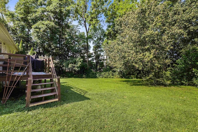 141 Elizabeth Ave, Waynesboro, VA 22980 - photo 27