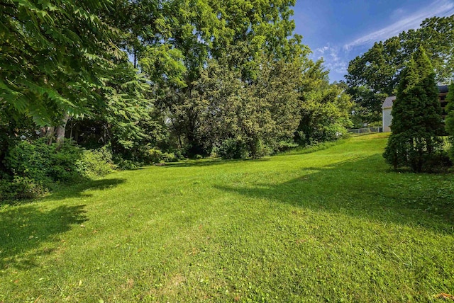 141 Elizabeth Ave, Waynesboro, VA 22980 - photo 31