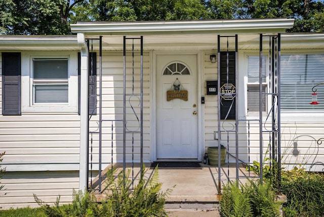 141 Elizabeth Ave, Waynesboro, VA 22980 - photo 4