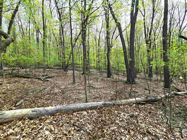 0 Indian Ridge Ln, Rockingham, VA 22802