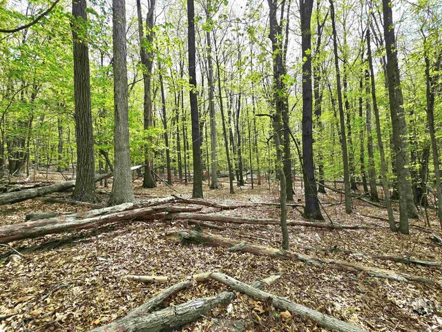 0 Indian Ridge Ln, Rockingham, VA 22802