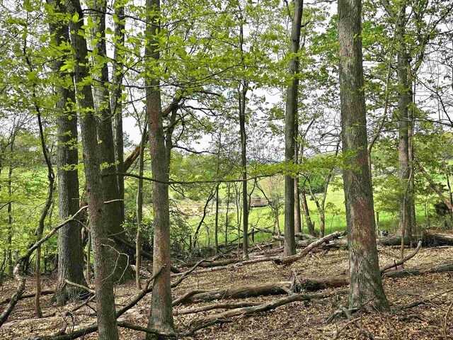 0 Indian Ridge Ln, Rockingham, VA 22802