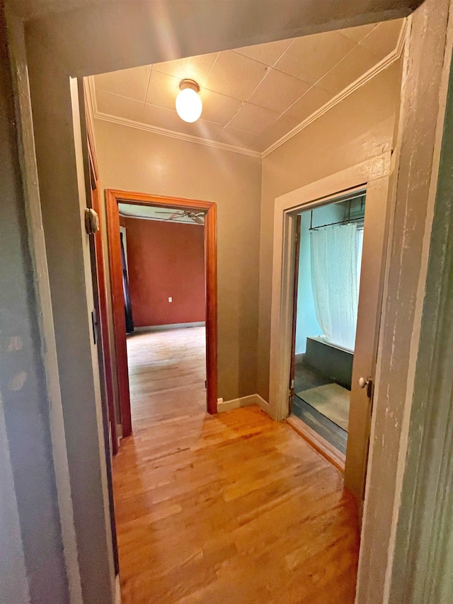 9264 Schuyler Rd, Schuyler, VA 22969 - hall with ornamental molding, light wood finished floors, and baseboards