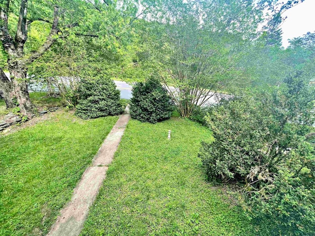 9264 Schuyler Rd, Schuyler, VA 22969 - view of grassy yard with a view of trees