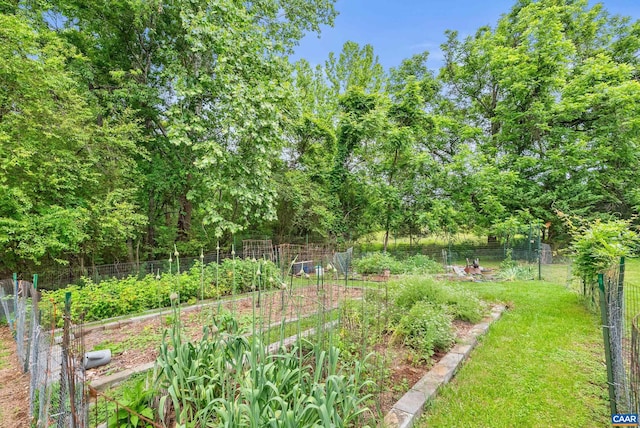 687 Gidsville Rd, Amherst, VA 24521 - view of yard with a garden