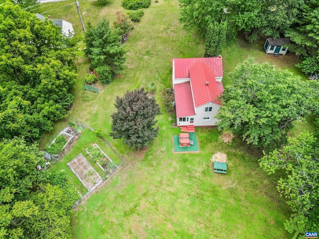 687 Gidsville Rd, Amherst, VA 24521 - aerial view of property and surrounding area