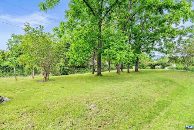 687 Gidsville Rd, Amherst, VA 24521 - view of grassy yard