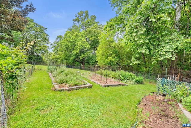 687 Gidsville Rd, Amherst, VA 24521 - view of yard featuring a garden