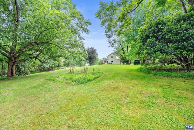 687 Gidsville Rd, Amherst, VA 24521 - view of grassy yard