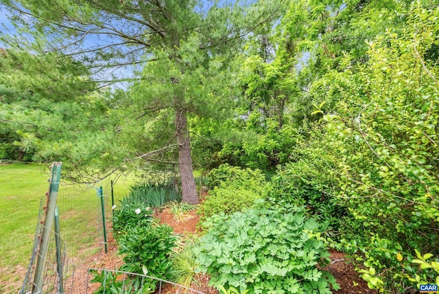 687 Gidsville Rd, Amherst, VA 24521 - view of green lawn