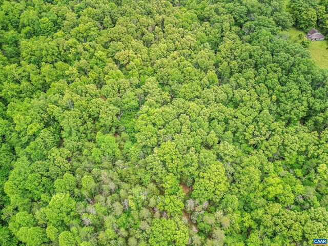 687 Gidsville Rd, Amherst, VA 24521 - aerial view of property's location