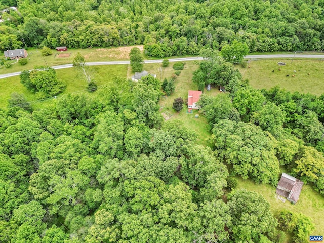687 Gidsville Rd, Amherst, VA 24521 - drone / aerial view of a heavily wooded area