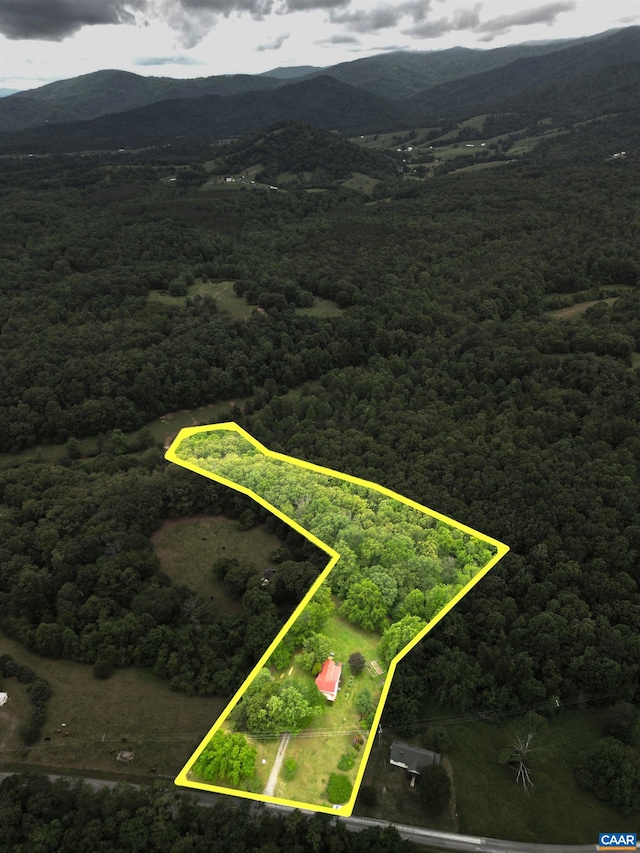 687 Gidsville Rd, Amherst, VA 24521 - view of property location with property boundaries highlighted, a heavily wooded area, and a mountainous background