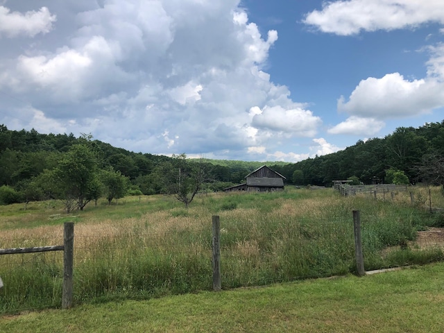 6249 Muddy Run Rd, Burnsville, VA 24487 - photo 6