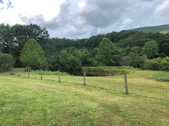 6249 Muddy Run Rd, Burnsville, VA 24487 - photo 5